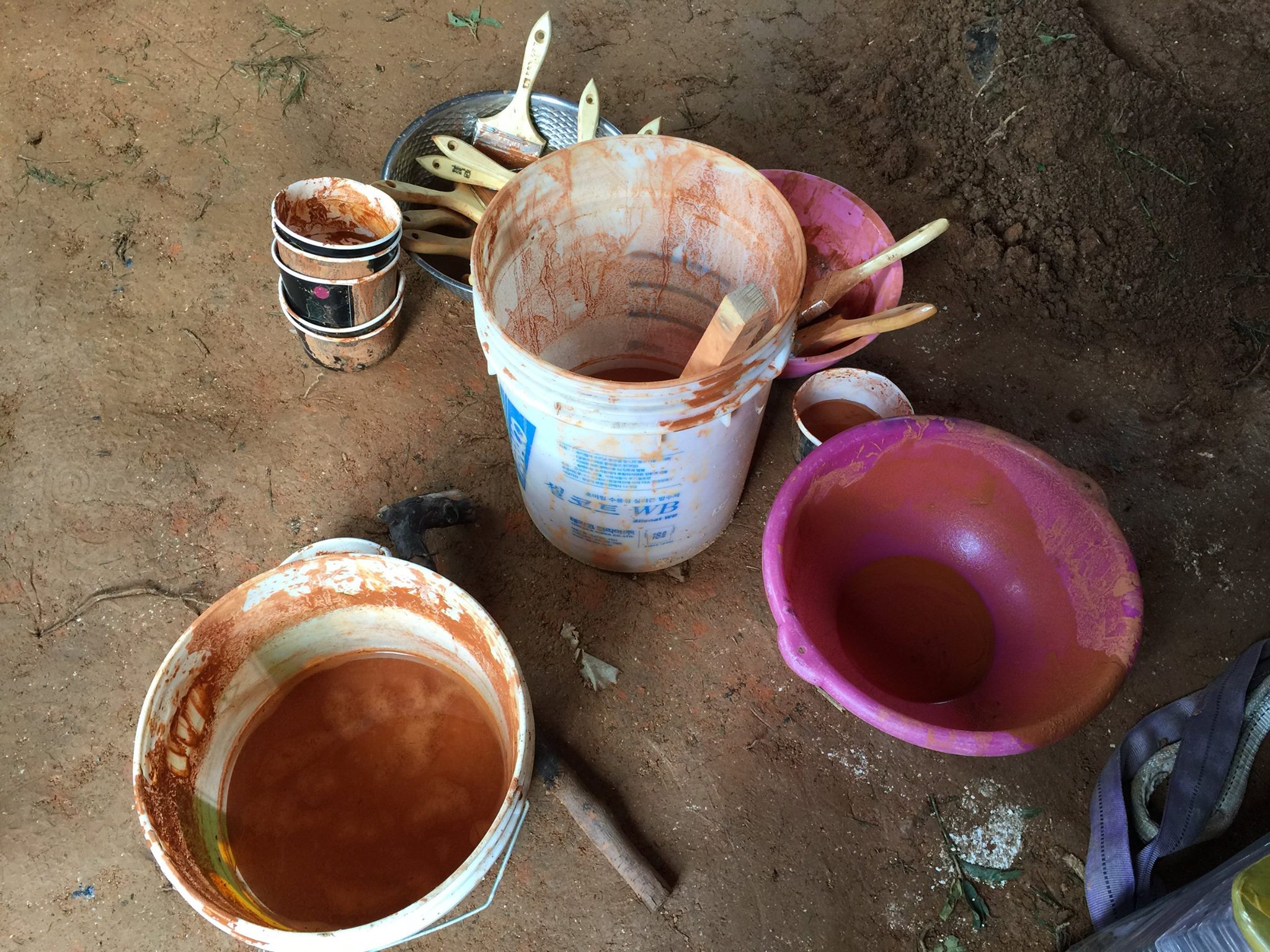 �̼������̳�